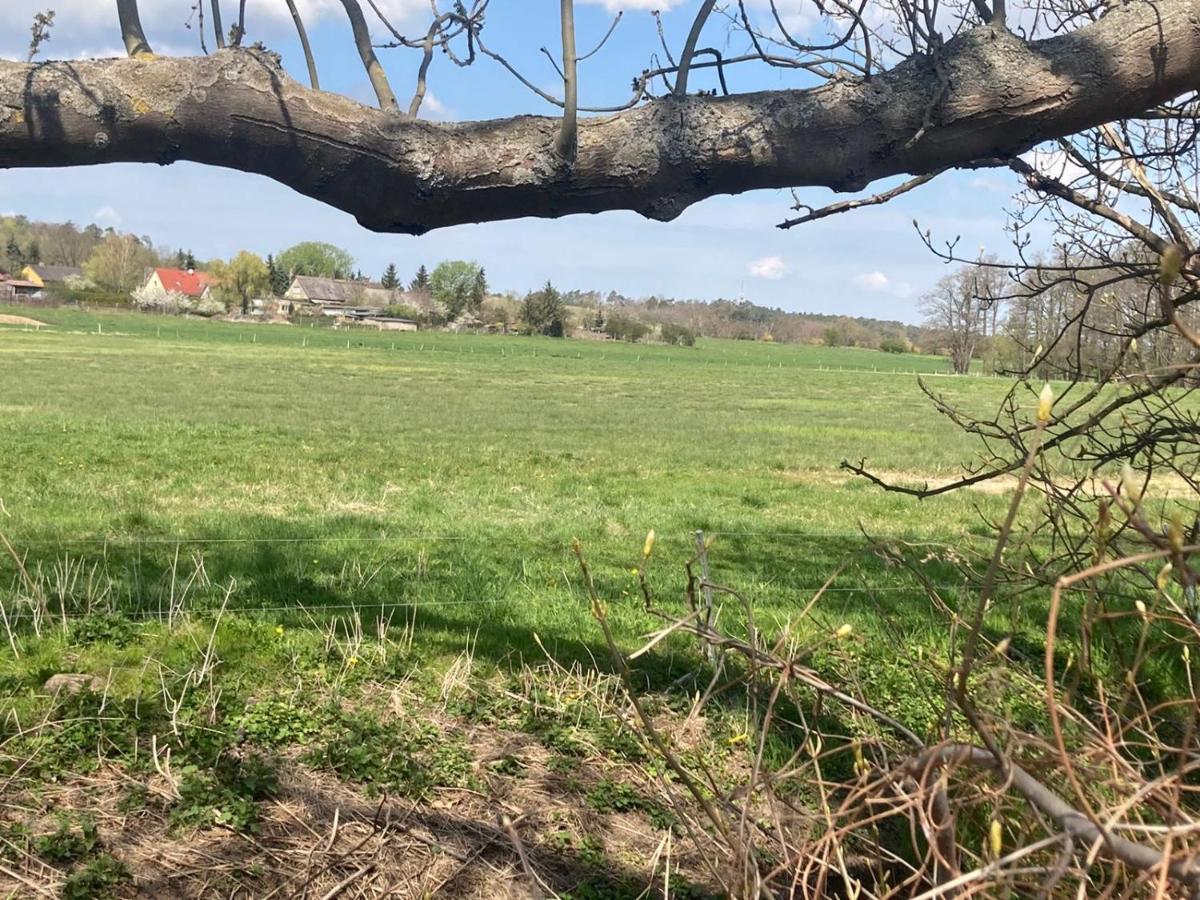 Familienfreundliche Unterkunft Direkt Am Nationalpark Unteres Odertal Criewen 외부 사진